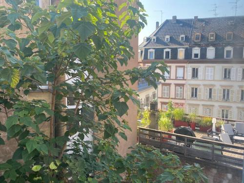 La Petite Auberge de Strasbourg 4