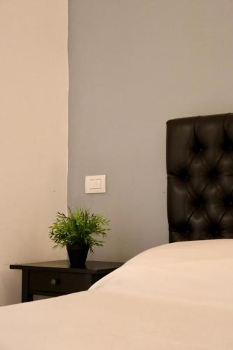 Standard Quadruple Room image 7
