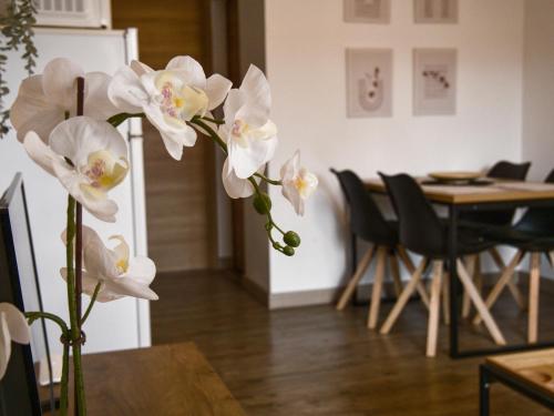 Einrichtungen, BIT home near Flughafen Fuerteventura