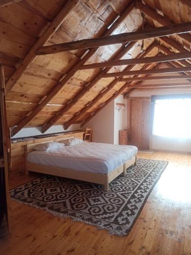 Matsunoki in Karakol