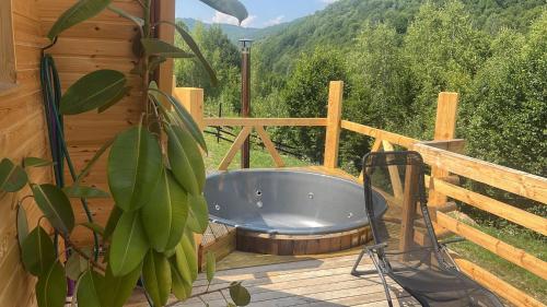 Заобикаляща среда, Păltinel (Paltinel) in Holbav