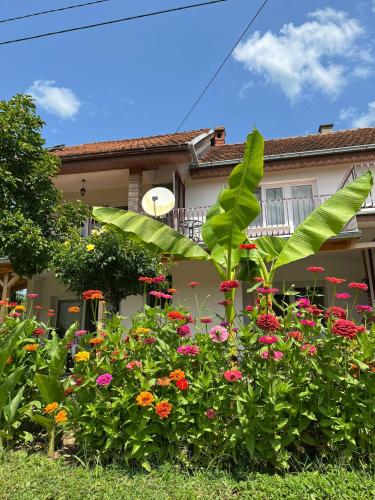 Apartmani Simonovic - Location saisonnière - Sokobanja