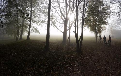 Appartamento EDELWEISS