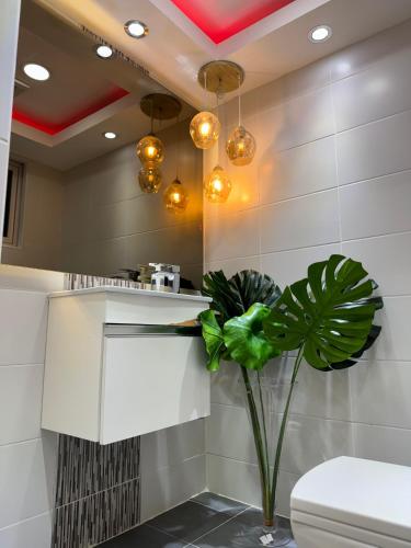 Luxury Duplex Penthouse Santo Domingo