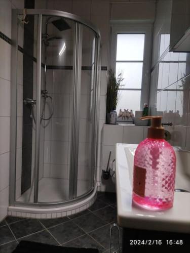 Ferienwohnung Ferienwohnung