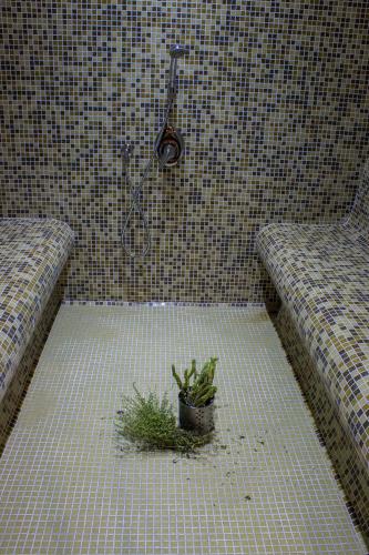 Trigrad Hotel - image 8