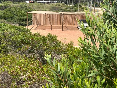 حديقة, Casa Tao in Chihuahua