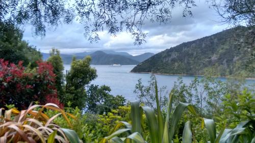 A Sea View B&B - Accommodation - Picton