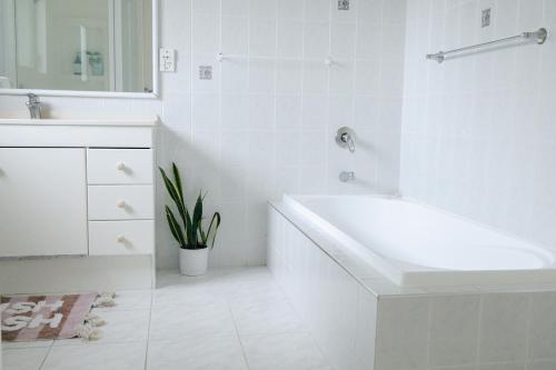 Prime location at Mt Eden- Cozy Vibe 3BR Home