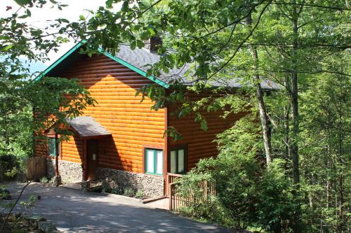 Bear Necessities, Luxury 5bd MTN VIEWS, hot tub, many bear sightings in Gatlinburg, USA