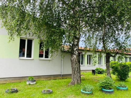 Turistická ubytovňa (Turisticka ubytovna) in Budimira