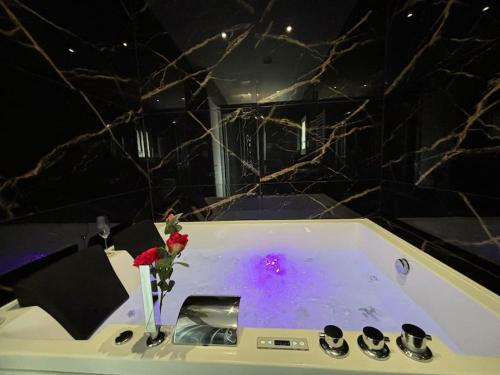 Prestige Jacuzzi & Clim, parking - Roanne centre-ville in Roanne