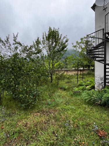 House in the Riverside