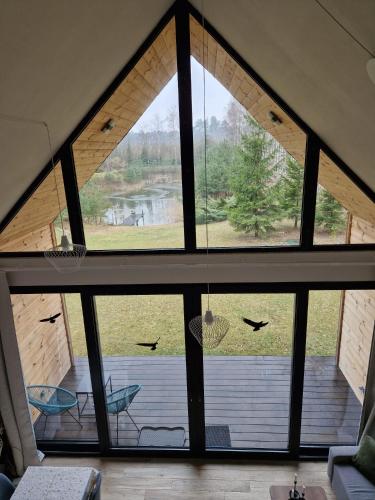 景觀, Leśny Pałapus (Lesny Palapus) in 奧斯特魯夫馬佐維卡