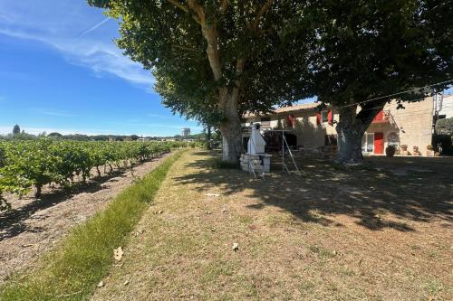 Gîte de la Cave - Charmant Gîte provençal avec une chambre Gîte de la Cave - Charmant Gîte provençal avec une chambre