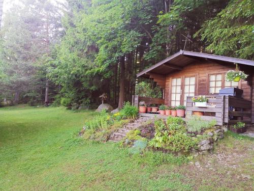 Haus-Daxberg-idyllisch-gelegen-im-Bayerischen-Wald-Ferienwohnung-mit-Zimmer-Kueche-Bad, Eppenschlag (Foto 9)
