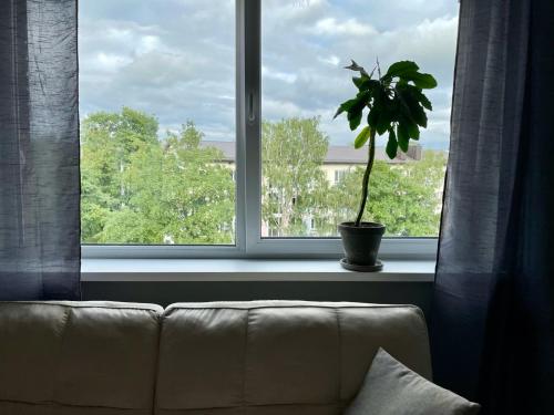 Light grey apartment in Maardu in Maardu