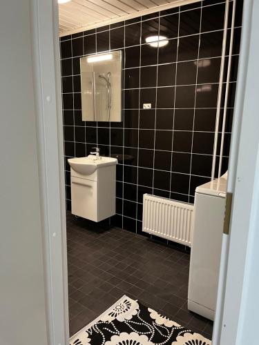 Studio apartment in Parkano