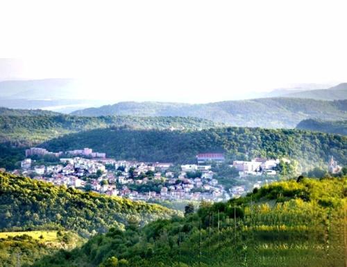 НОВА Вила АРБАНАШКИ СТИЛ-Джакузи, Панорамна гледка, Ареа за малки и големи-Заповядайте при нас 5