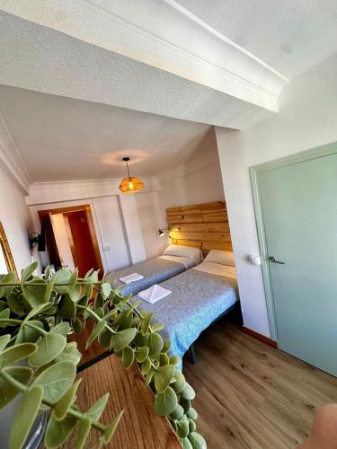 AtuaireHome Hostal en el centro de Burgos