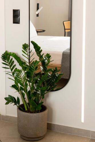 Deos living experience 2 - image 6