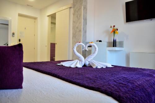 Hostal Alexis Madrid - image 8