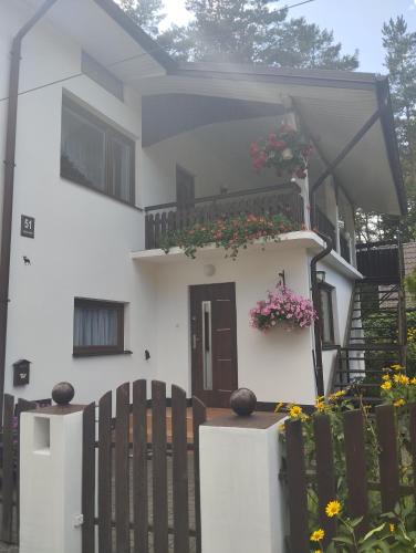 Mini Apartament Sosnowa