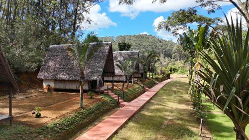 Amoron'ny Ala in Andasibe