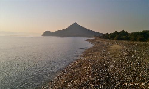 皮吉斯一室公寓