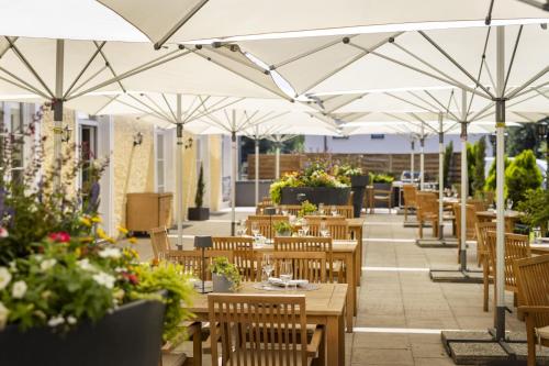 ARCOTEL Castellani - image 13