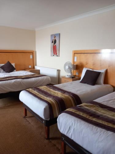 Royal Hotel - image 3