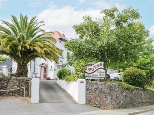 Flat 5, Big Tree Holiday Flats, Paignton