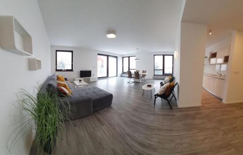 Apartment Vip