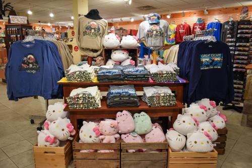 Six Flags Great Escape Lodge & Indoor Waterpark - image 3