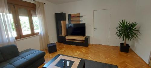 Apartman Lama in Petrovija