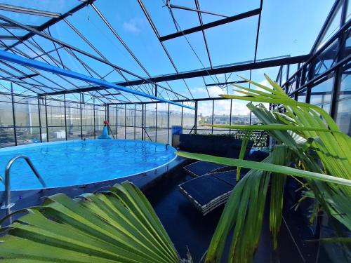 Swimming pool, Chalet aan zee in Noordwijk