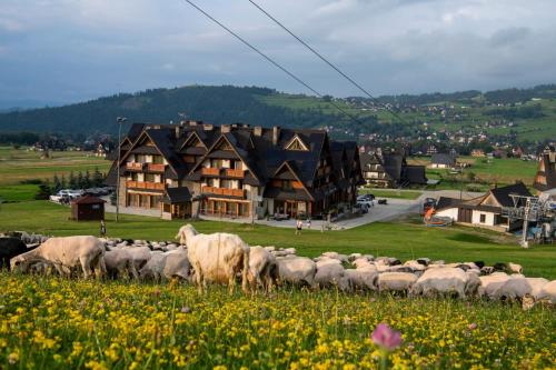 Zawrat Ski Resort