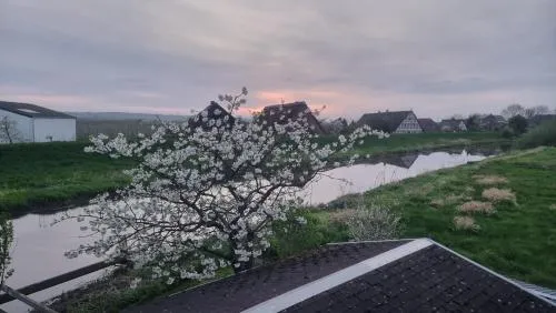 Lühe Loft - direkt am Wasser im Alten Land in Mittelnkirchen, Deutschland
