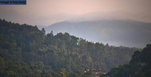 Thekkady Homestay