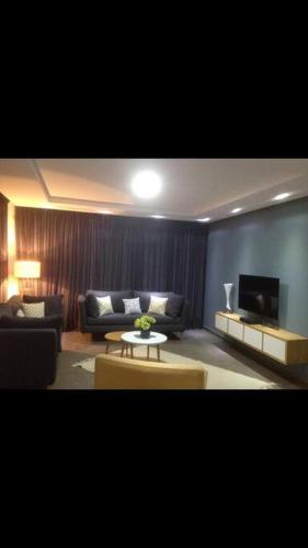 luxueux spacieux appartement haut standing