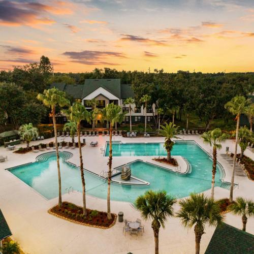 2 MI to USF Pet Friendly & Budget Friendly 2 MI to USF Pet Friendly & Budget Friendly