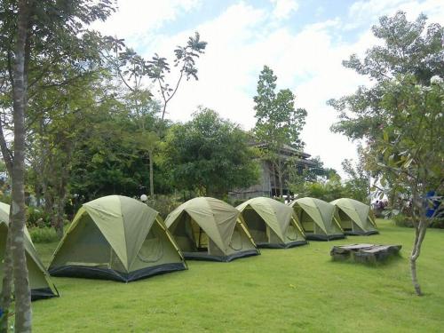 บ้านไร่ชายเขาวังน้ำเขียวฟาร์มสเตย์ 3