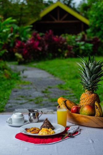 Selvita Lodge Arenal, Fortuna (fotografie 3)