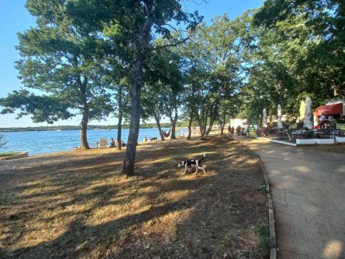 MaticResort in Cervar-Porat