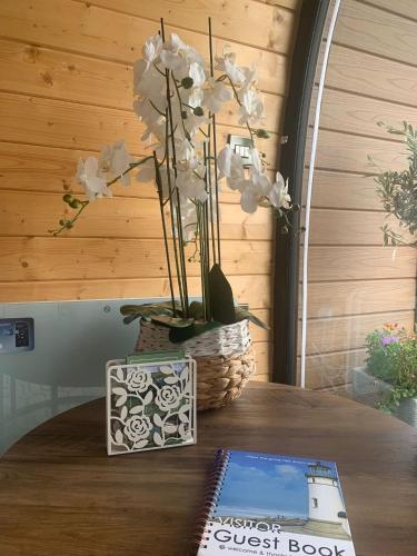 Seaview Glamping Cabin Inishowen in Inishowen