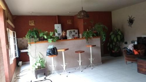 Bar/lounge, Achaval-Torre in Arguello