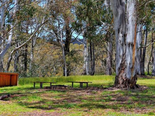 Cabin 4 - Snowy Accommodation in Adaminaby