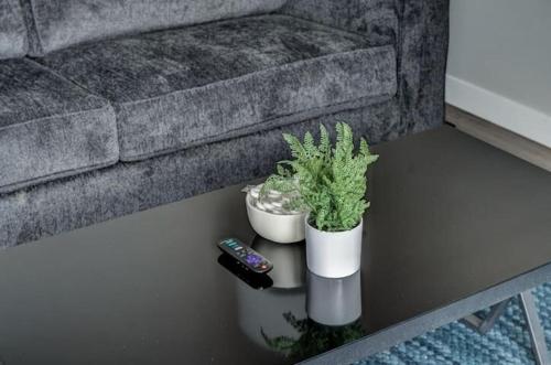 Luxury 1 Br Apt In Dwntwn Dsm Hot Tub! in Des Moines, USA