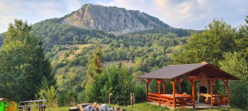 Iekārtas, Cabana Belvedere Dragoslavele in Valea Hotaruluja