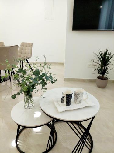 Apartman Tonći (Apartman Tonci) in 柯普新